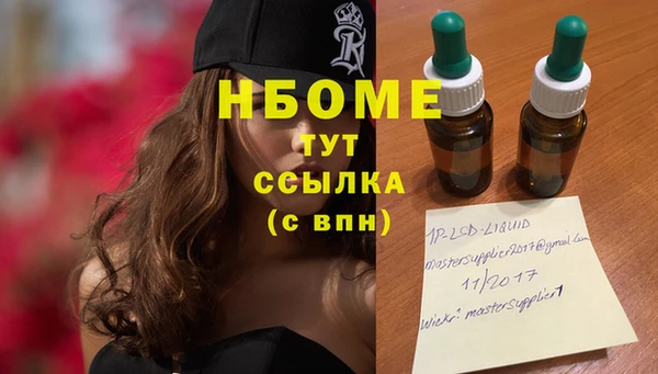 ГАЛЛЮЦИНОГЕННЫЕ ГРИБЫ Абаза