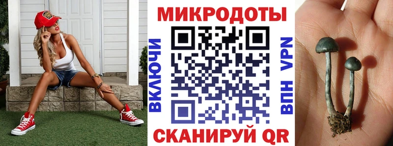 купить наркотики сайты  Мостовской  Псилоцибиновые грибы Psilocybe 